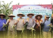 Panen Jagung Polres Sukabumi Tuai Apresiasi DPRD, Dinilai Sejalan dengan Program Asta Cita