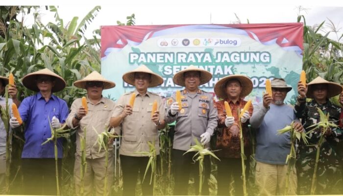 Panen Jagung Polres Sukabumi Tuai Apresiasi DPRD, Dinilai Sejalan dengan Program Asta Cita